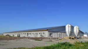 Pigsty roof for agricultural company "Mayak" 33×96m